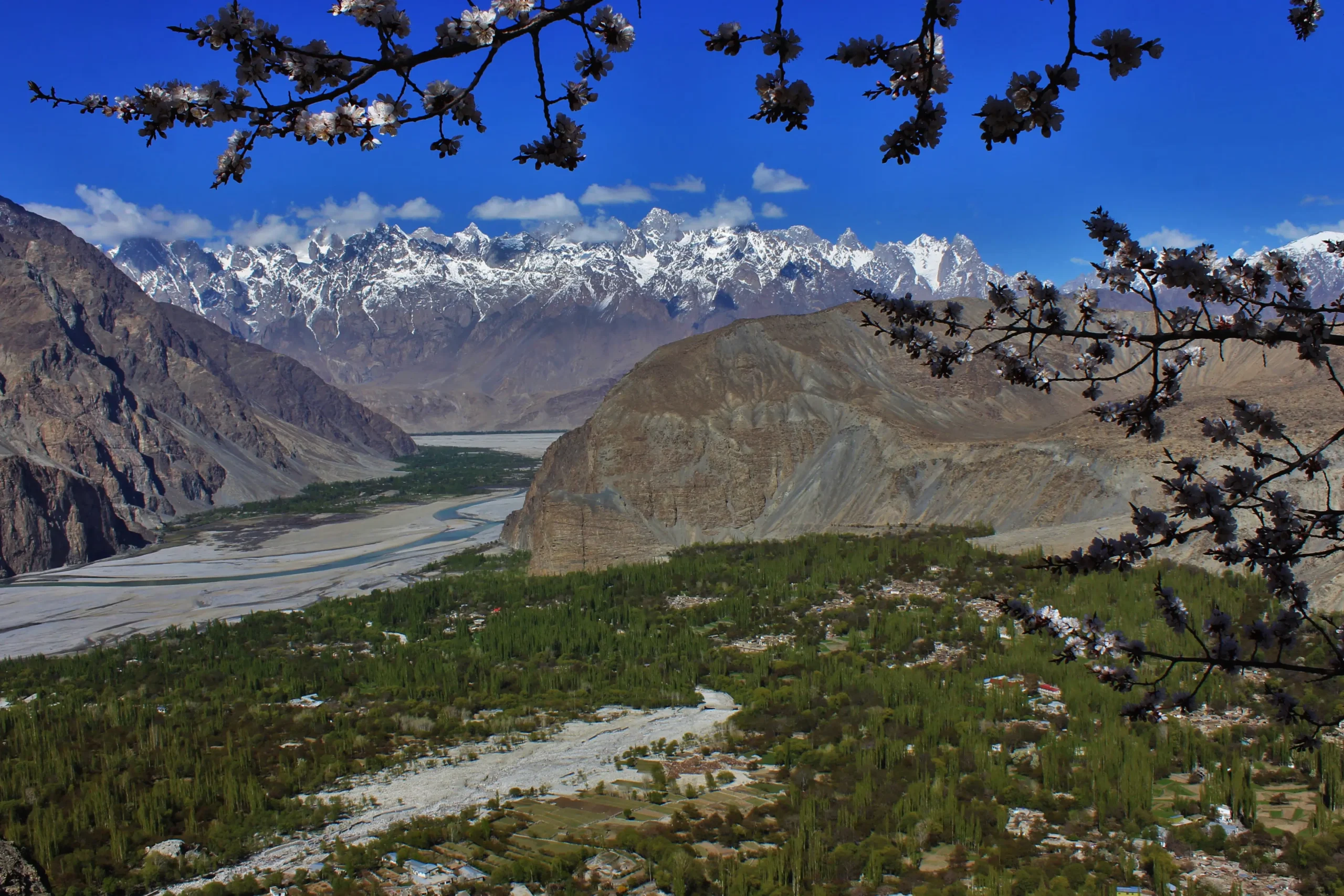 Apricot-Blossom-Trip-in-Baltistan-1
