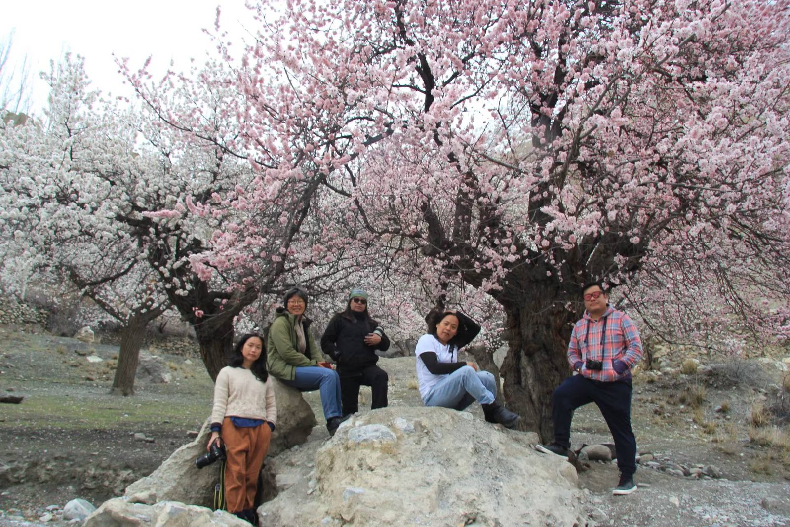 Apricot-Blossom-Trip-in-Gilgit-Baltistan-3