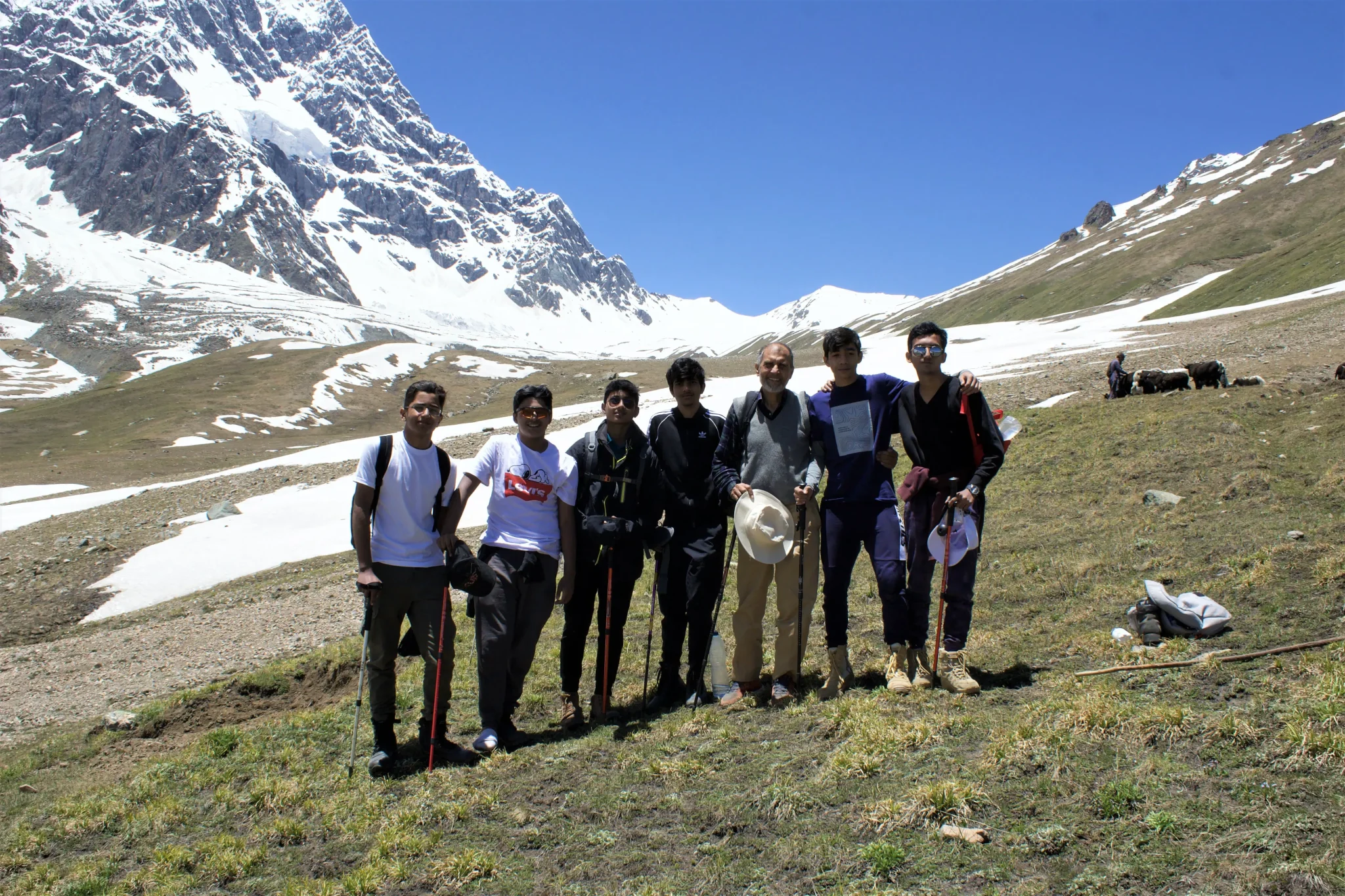 imgi_18_Upper-Trich-Mir-Glacier-1
