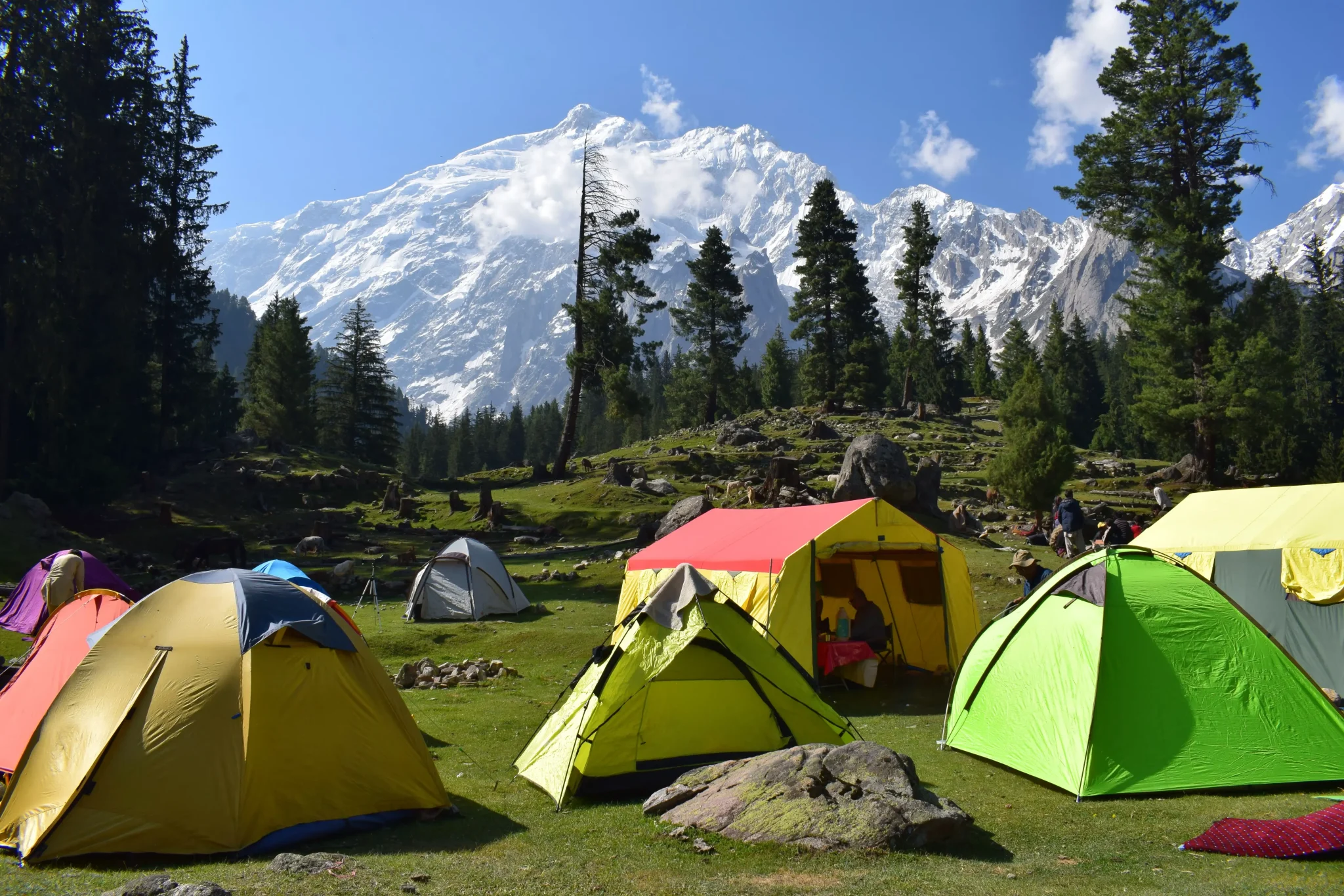imgi_39_Chutral-Over-Shahjinali-Pass-4