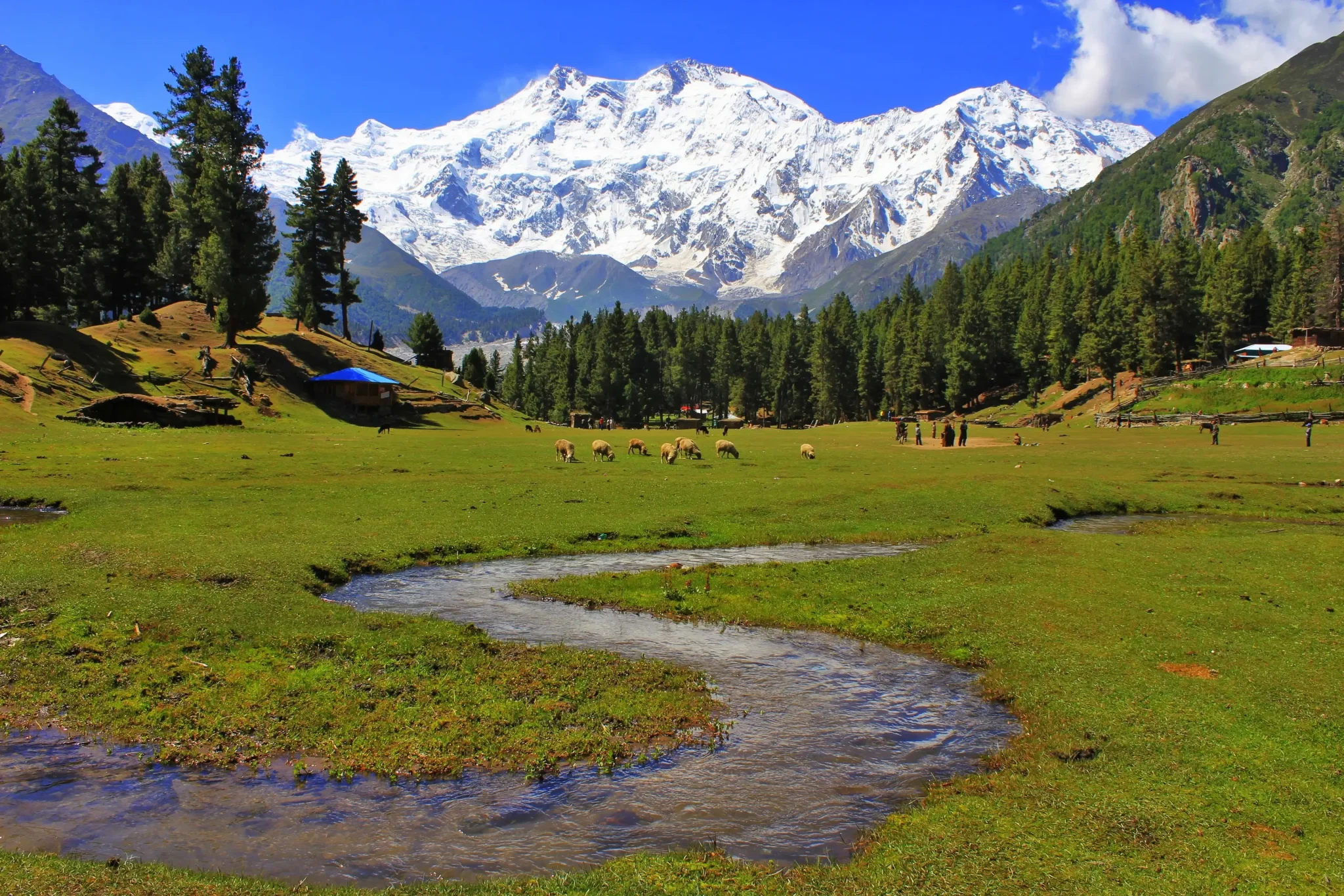 imgi_5_fairy-meadows4