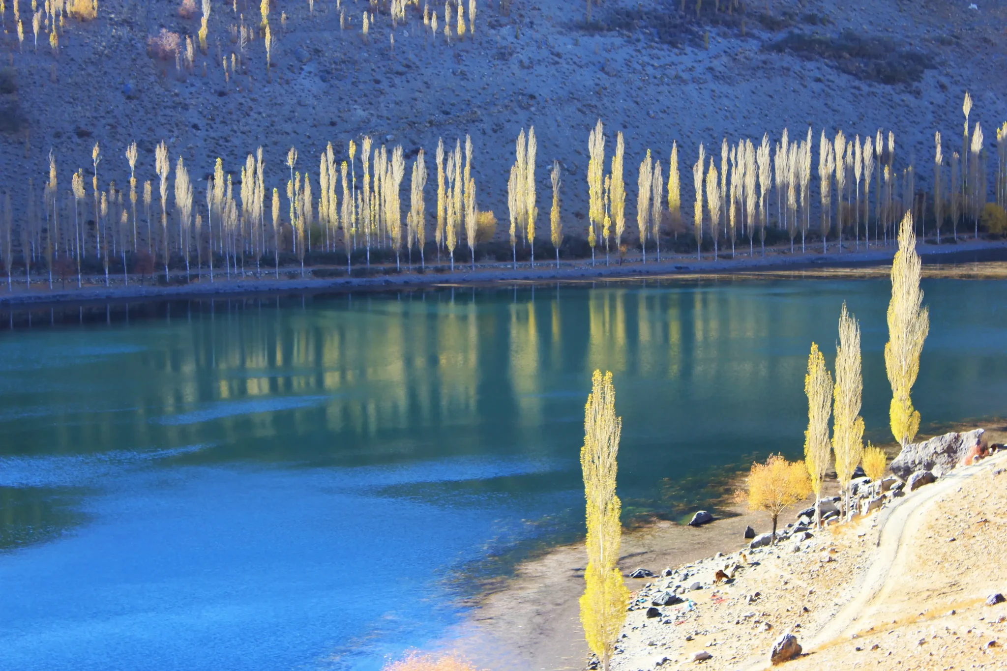 Autumn-Baltistan-6